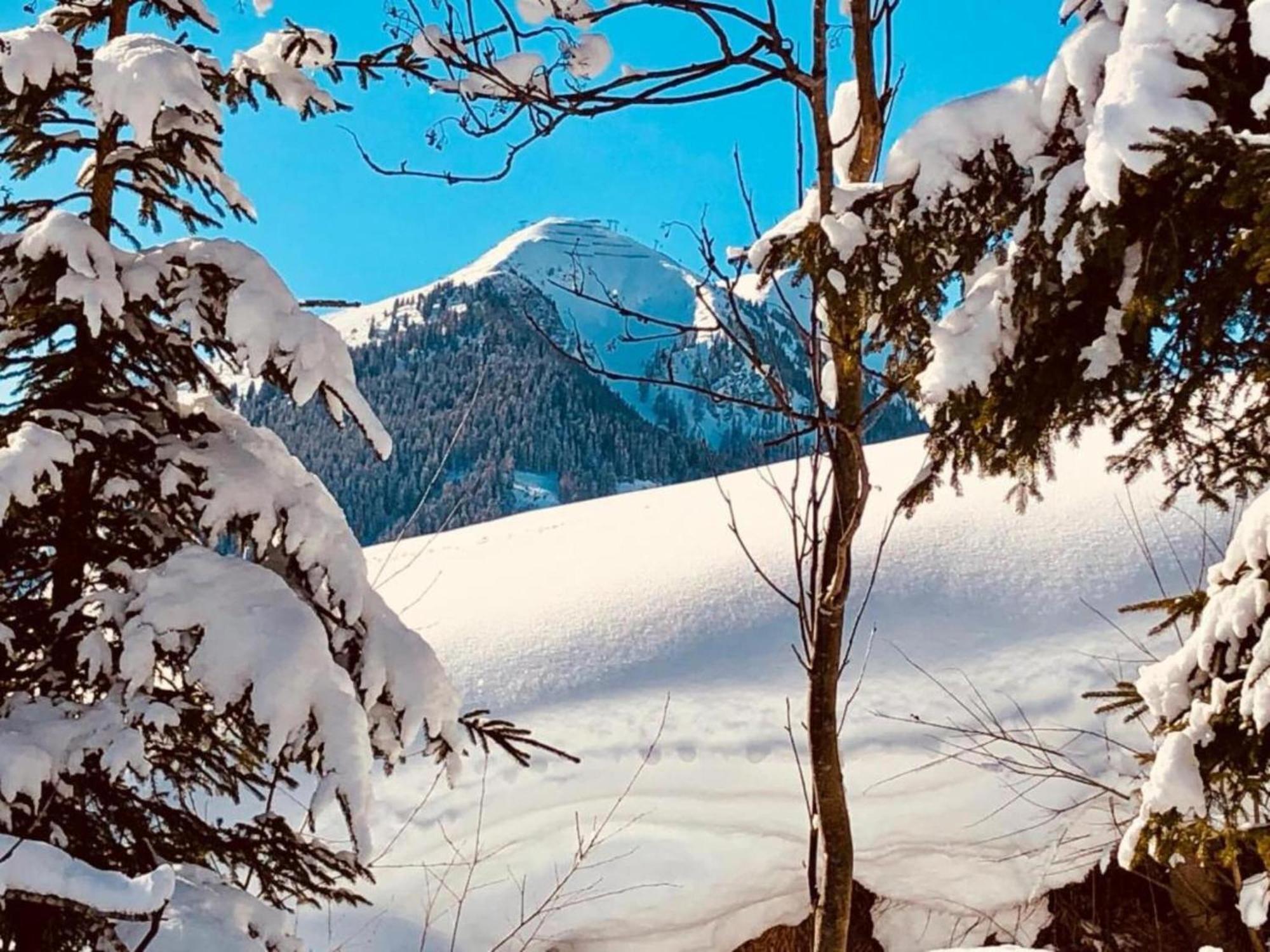 Chalet In Hinterglemm *